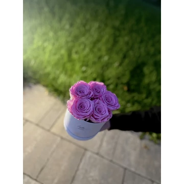 Tartósított ecuadori örökrózsa dobozban 12 cm cm rózsaszín Tartósított ecuadori örökrózsa dobozban 12 cm cm rózsaszín